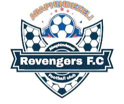 复仇者